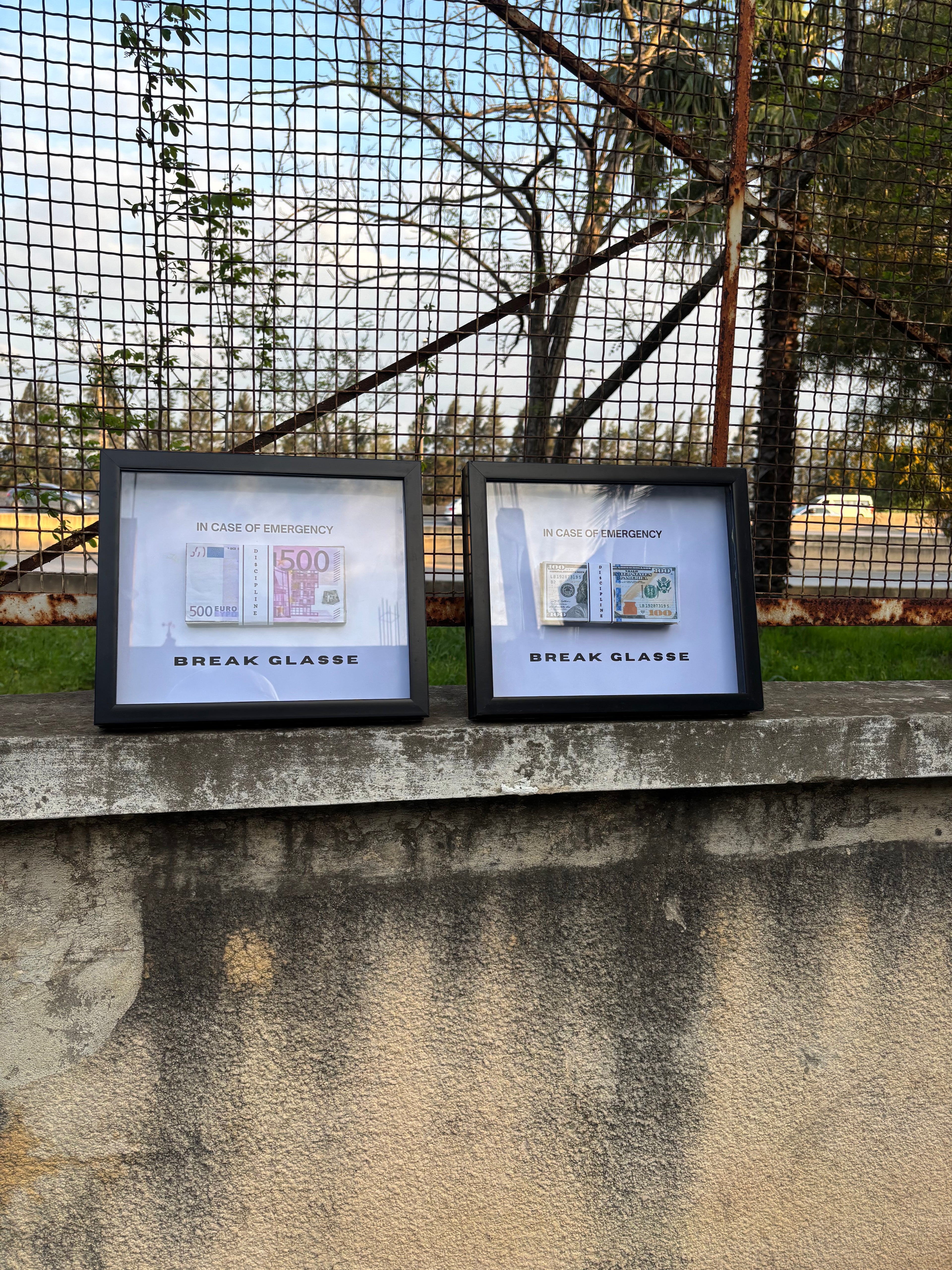 emergency money frame box 3D